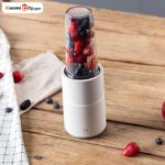 مخلوط کن Pinlo مدل Ym-B05-02 - Image 4