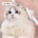خرید شانه حیوانات یوپین